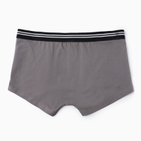 Трусы мужские боксеры, цвет светлый графит, размер 54 (XXL)