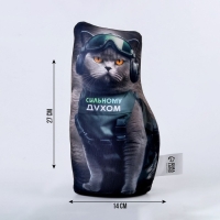 Антистресс игрушка, кот «Сильному духом» Антистресс игрушка, кот «Сильному духом»