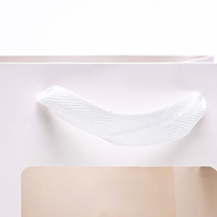 Пакет подарочный, с окном, 25 х 18 х 13 см, белый, 1шт. Пакет подарочный, с окном, 25 х 18 х 13 см, белый, 1шт.