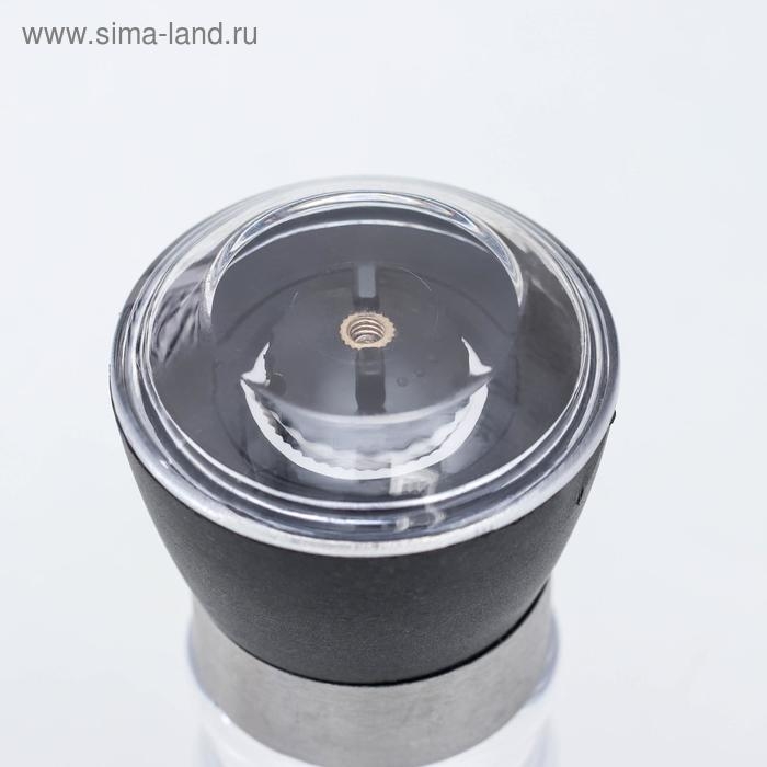 Мельница для специй Доляна &laquo;Рэйн&raquo;, 12&times;5 см, керамический механизм, цвет прозрачный