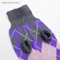 Свитер, размер 16 (ДС 45-60, ОШ 20-37, ОГ 37-52 см), микс расцветок Свитер, размер 16 (ДС 45-60, ОШ 20-37, ОГ 37-52 см), микс расцветок