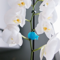 Клипса для растений &laquo;Улитка&raquo;, набор 10 шт., МИКС, Greengo