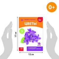 Книги «Карточки Домана. Окружающий мир», набор, 8 шт. по 20 стр. Книги «Карточки Домана. Окружающий мир», набор, 8 шт. по 20 стр.