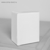 Светодиодная фигура &laquo;Дом с еловой гирляндой&raquo;, керамика, батарейки AG13х3 (в комплекте), свечение тёплое белое