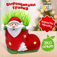 Набор для опытов &laquo;Выращиваем травку: Сапожок&raquo;, с семенами