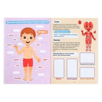 Наклейки набор &laquo;Тело человека&raquo;, 2 шт. по 16 стр.