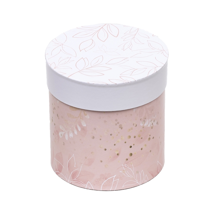 Набор круглых коробок 5 в 1 Набор круглых коробок 5 в 1 "Листья" , 20 х 20 -14 х 14 см