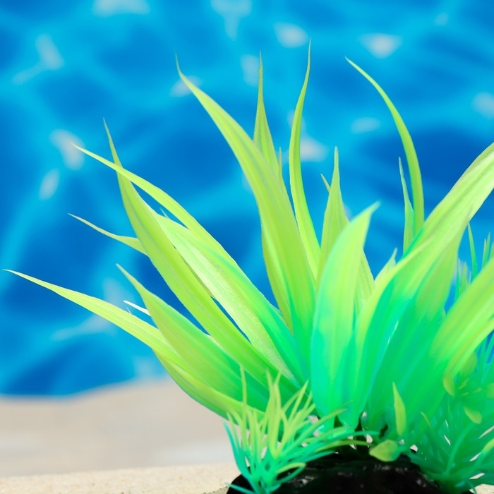 Растение искусственное аквариумное, светящееся, 10 см, зелёное Растение искусственное аквариумное, светящееся, 10 см, зелёное