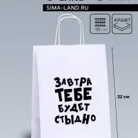 Пакет подарочный &laquo;Завтра тебе будет стыдно&raquo;, 24&times;10.5&times;32 см, 1 шт.