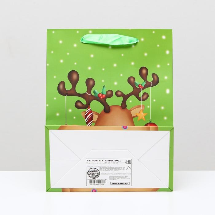 Пакет ламинированный Пакет ламинированный "Подарок", 18 x 23 x 10 см