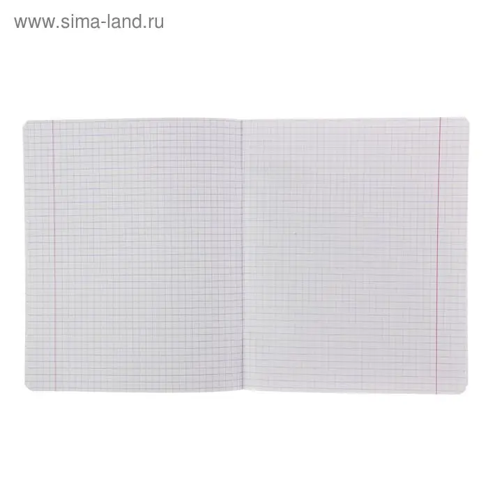 Тетрадь 18 листoв клетка &laquo;Великолепная пятёрка&raquo;, бумажная обложка, МИКС