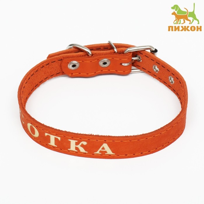 Ошейник кожаный однослойный, тиснёный  &laquo;Красотка&raquo;, 48 х 2 см, ОШ 32-43 см, микс цветов