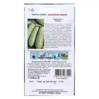 Семена Кабачок "Маша" F1, 1г