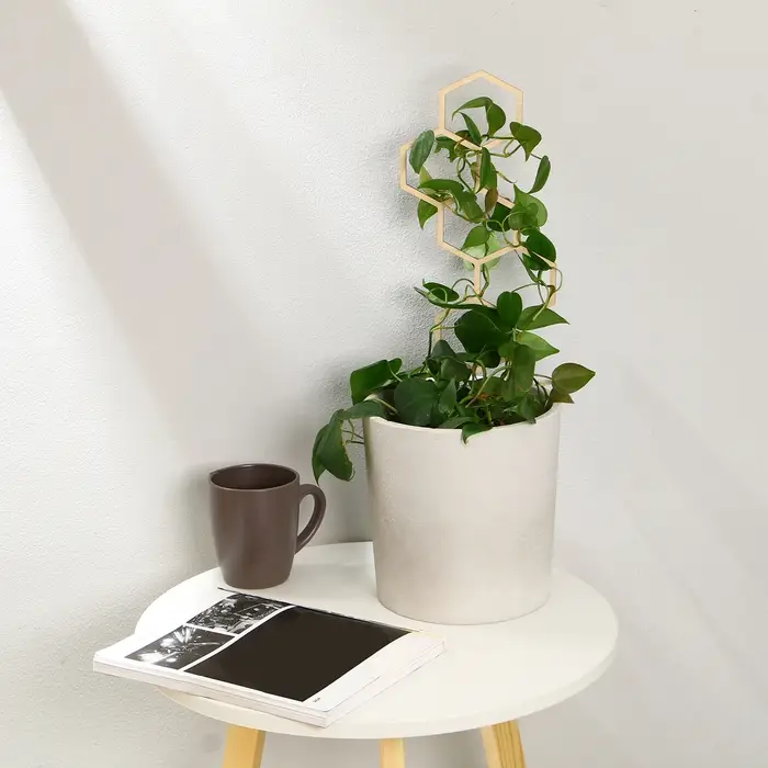 Шпалера, 40 &times; 15 см, дерево, &laquo;Соты&raquo;, Greengo