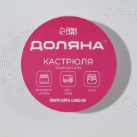 Набор кастрюль из жаропрочного стекла для запекания Доляна &laquo;Гратен&raquo;, 2 предмета: 1 л, 1,5 л, с крышками