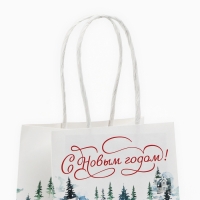 Пакет подарочный новогодний &laquo;С Новым годом&raquo;, белый крафт, 12 х 21 х 9 см , Новый год