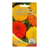 Семена цветов однолетние Бархатцы прямостоячие смесь махровая 0,2 гр.
