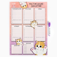 Магнитное расписание уроков многоразовое &laquo;Забавные котики&raquo;, А3, с маркером