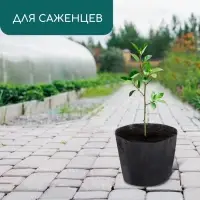 Пакет для рассады, 2 л, d = 17 см, h = 13 см, полиэтилен, чёрный, Greengo