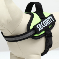 Шлейка К9 мягкая светоотражающая, размер ХS, ОГ 38-50 см, вес 3-6 кг, зелёная Шлейка К9 мягкая светоотражающая, размер ХS, ОГ 38-50 см, вес 3-6 кг, зелёная