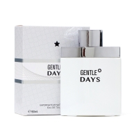 Туалетная вода мужская Gentle Days, 90 мл Туалетная вода мужская Gentle Days, 90 мл