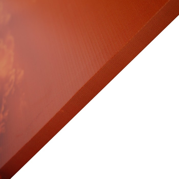 Картина Картина "Ласточкино гнездо" 50*70 см