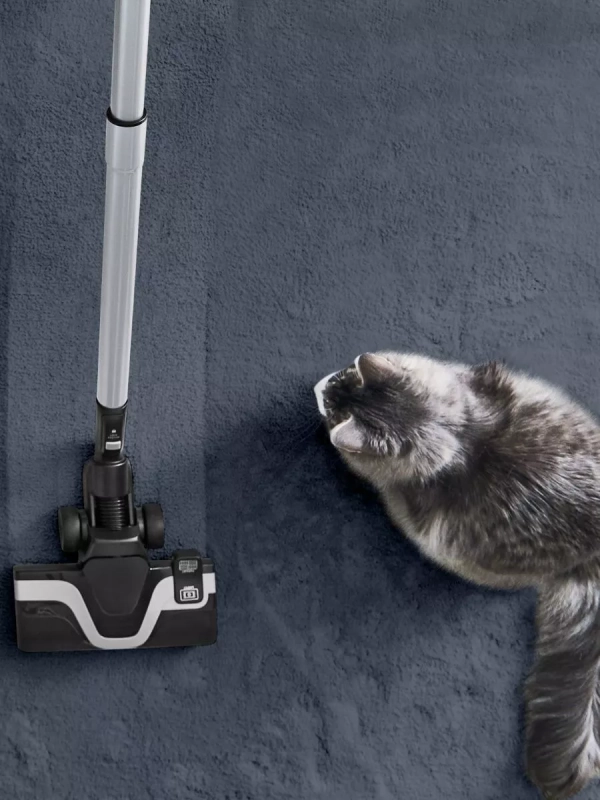 Пылесос с контейнером Extreme Cyclonic Effitech TW7C89EA