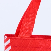 Мешок для подарков &laquo;Новогодний подарок&raquo;, дракон