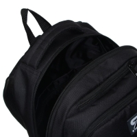 Рюкзак молодёжный, школьный, 44&times;34&times;13 см, эргономичная спинка, Stavia &laquo;Спутник&raquo; чёрный