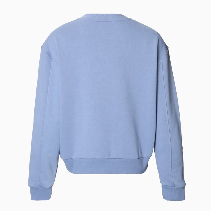 Свитшот женский, цвет стальной, размер 44