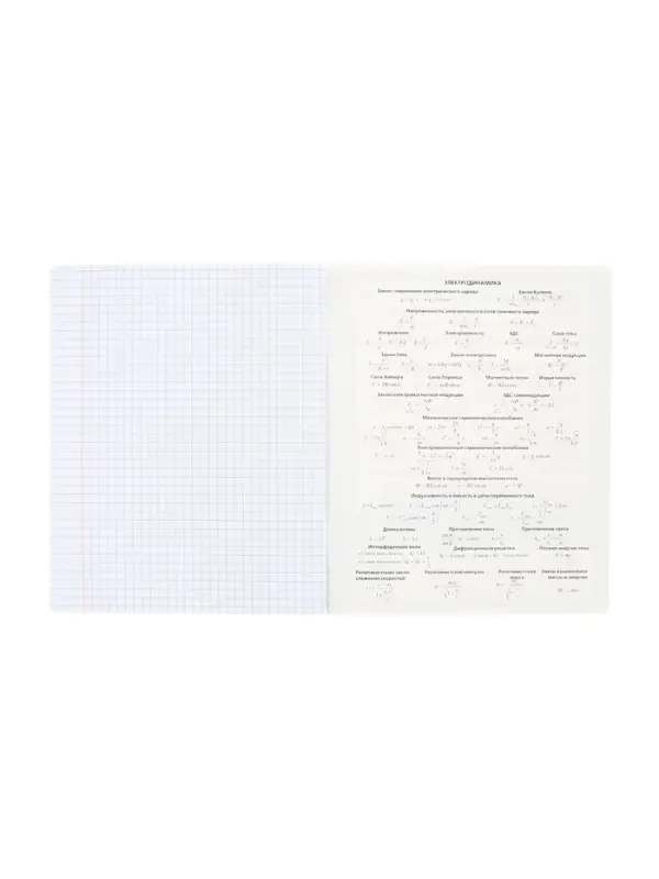 Тетрадь 48 листов в клетку &laquo;Буквица&raquo; ФИЗИКА, обложка мелованный картон, матовая ламинация, тиснение фольгой, с интерактивным справочником, бл...