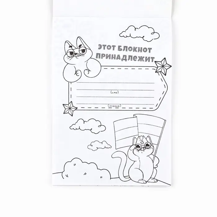 Блокнот раскраска А6, 12 л. &laquo;Енот. 23 февраля&raquo;