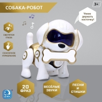 Робот собака «Чаппи» IQ BOT, интерактивный: сенсорный, свет, звук, музыкальный, танцующий, на аккумуляторе, на русском языке, золотой Робот собака «Чаппи» IQ BOT, интерактивный: сенсорный, свет, звук, музыкальный, танцующий, на аккумуляторе, на русском языке, золотой