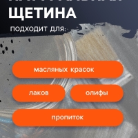 Набор кистей ТУНДРА, плоские 3/4", 2", 3", круглые №2, №8, макловица 30х120 мм, 6 шт.