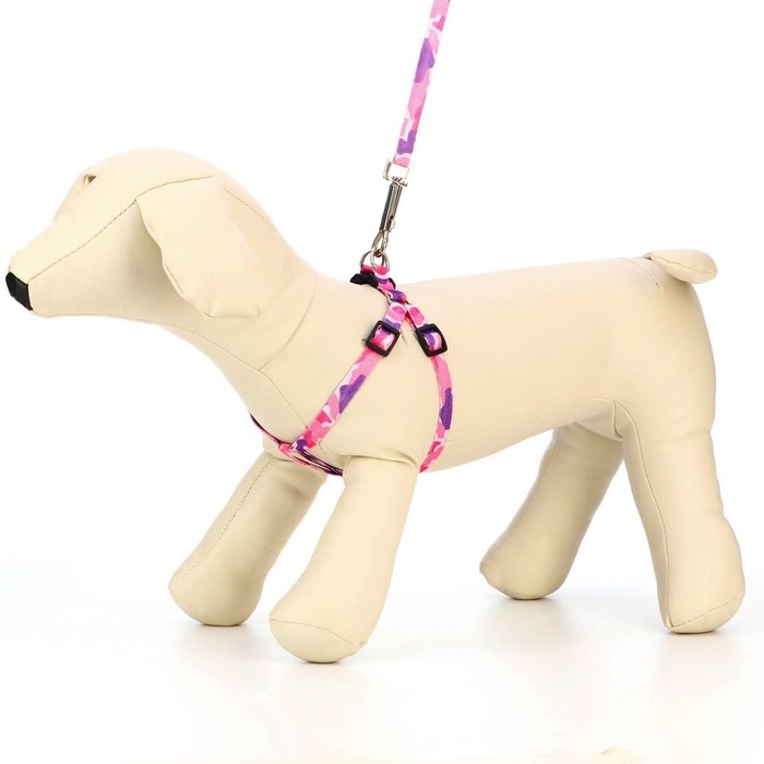 Комплект "Камуфляж", капрон, ширина 1см,шлейка 21-35 см,поводок 120 см, капрон, розов/фиолет