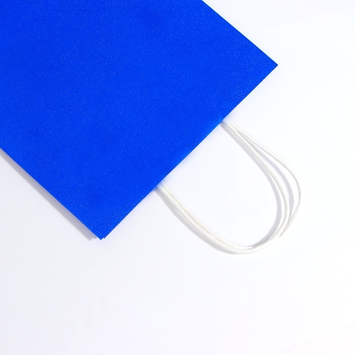 Пакет подарочный бумажный с глиттером синий, 21 х 11 х 27 см Пакет подарочный бумажный с глиттером синий, 21 х 11 х 27 см