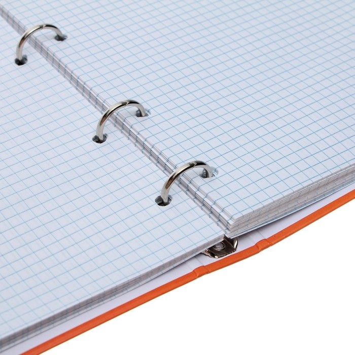 Тетрадь на кольцах A5 80 листов в клетку Calligrata "Коты", обложка 7БЦ, без вырубки под кольца, блок офсет