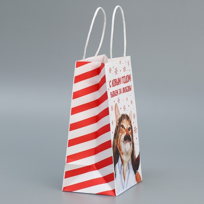 Пакет подарочный новогодний крафтовый &laquo;За любовь&raquo;, 12 х 21 х 9 см, Новый год