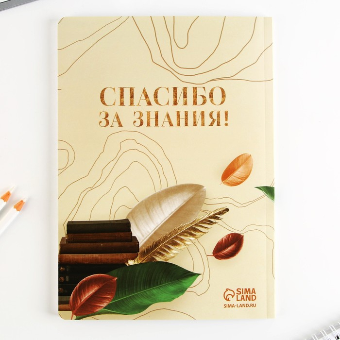 Подарочный набор &laquo; С днём учителя&raquo;: ежедневник А5, 96 листов и ручки софт-тач