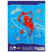 Подарочный набор для мальчика, 10 предметов, Человек-паук