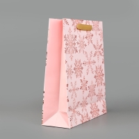 Пакет подарочный новогодний ламинированный &laquo;Вьюга&raquo;, тиснение, M 30 х 26 х 9 см, Новый год