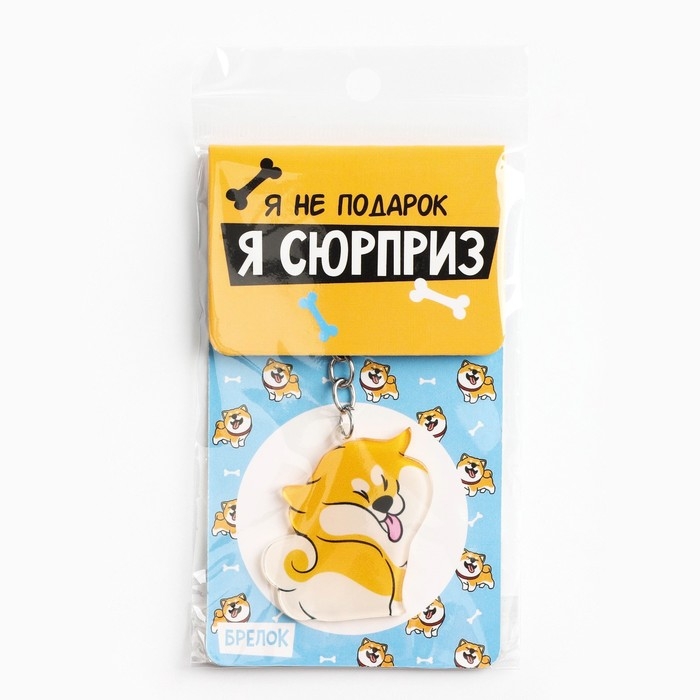 Брелок для ключей акриловый «Я не подарок», 9.7 х 4.3 см Брелок для ключей акриловый «Я не подарок», 9.7 х 4.3 см