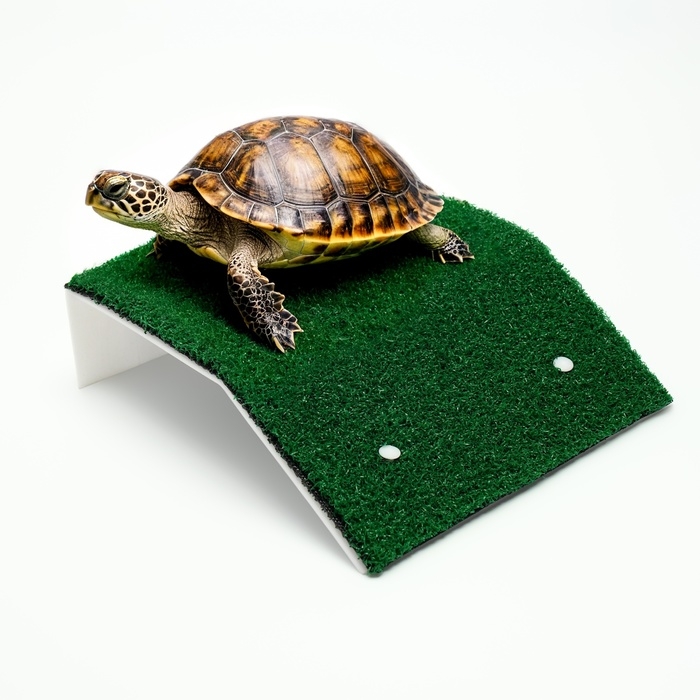 Мостик для черепах большой, на присосках, 20,5 х 20 х 6 см Мостик для черепах большой, на присосках, 20,5 х 20 х 6 см