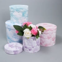 Набор шляпных коробок для цветов 4 в 1, упаковка подарочная, &laquo;Облака&raquo;, 14 х 13 см - 20 х 17.5 см