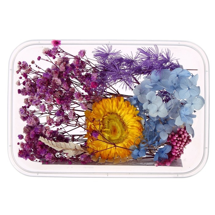 Набор для творчества «Набор сухоцветов», большой, голубой, жёлтый, сиреневый Набор для творчества «Набор сухоцветов», большой, голубой, жёлтый, сиреневый