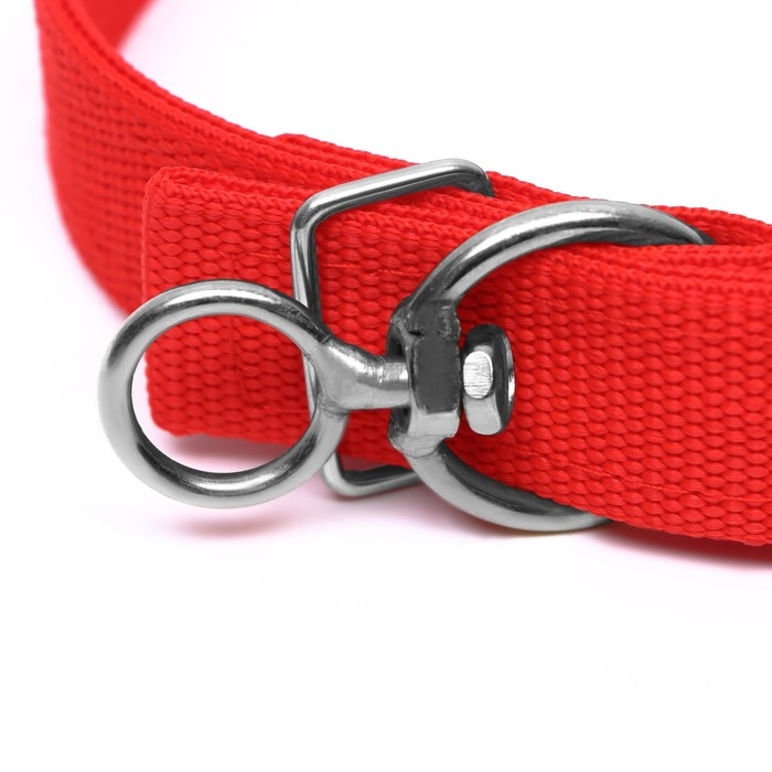 Ошейник двухслойный с вертлюгом, 55 х 2,5 см, полиэстер, красный Ошейник двухслойный с вертлюгом, 55 х 2,5 см, полиэстер, красный