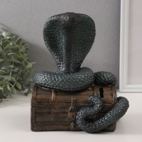 Копилка"КОБРА НА СУНДУКЕ "  20 х 17 х 12 см.