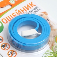 Биоошейник от паразитов "ПИЖОН" для собак от блох и клещей, синий, 65 см Биоошейник от паразитов "ПИЖОН" для собак от блох и клещей, синий, 65 см