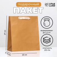 Пакет ламинированный &laquo;Коричневый&raquo;, 23 х 27 х 11.5 см