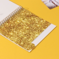 Фотоальбом на спирали 20 листов "Моё zoloto" объёмный элемент + 4 вкладки 24х24 см Фотоальбом на спирали 20 листов "Моё zoloto" объёмный элемент + 4 вкладки 24х24 см